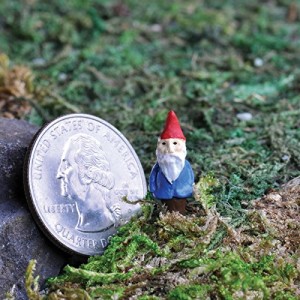 Micro Gnome