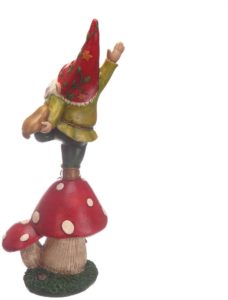 gnome on a mushroom 2